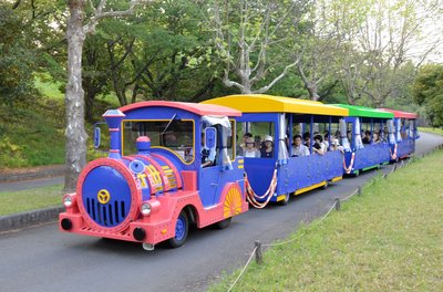 🌳 국영 쇼와 기념 공원 이미지 2